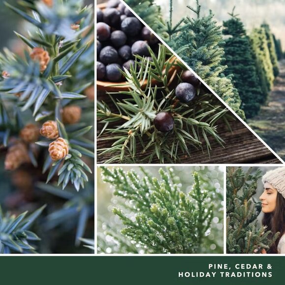 Yankee Candle Car Jar Ultimate Multipack Air Freshener, 5-count - Holiday Scent - Picture 4 of 12